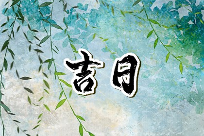 黄历一页在读什么？